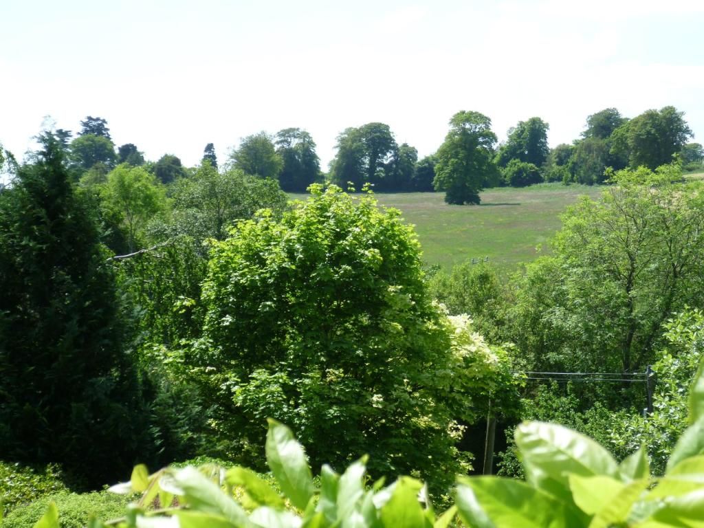 Отели типа «постель и завтрак» Diamond Hill Country House Уотерфорд-30